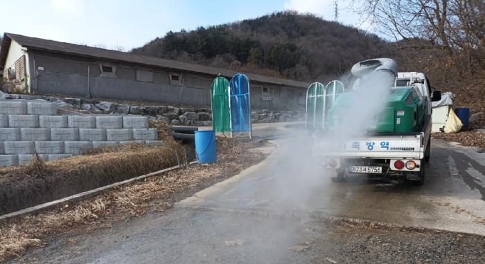 괴산군 산란계 농장 고병원성 조류인플루엔자(AI) 확진 기사 이미지