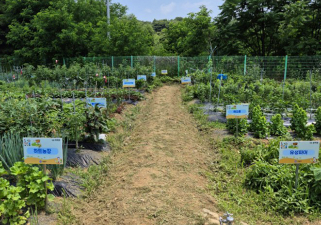 유성구, 도심 속 친환경 농장 ‘공동체 텃밭’ 운영 기사 이미지