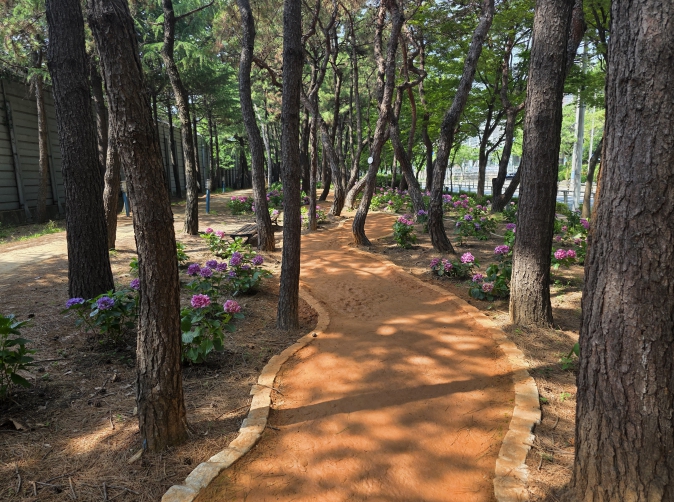 부산 북구, 화명역 일원 주민 힐링 명소 ‘기찻길 숲속 맨발산책로’ 조성 완료 기사 이미지