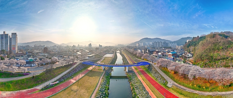 정읍시, ‘2026 벚꽃축제’ 3일 화려한 개막…“연분홍빛 봄의 향연” 기사 이미지
