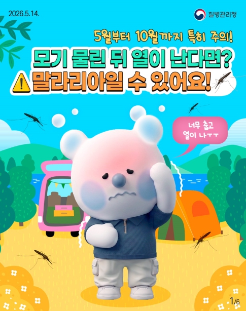 질병관리청, 모기 물린 뒤 열이 난다면? 말라리아일 수 있어요! 기사 이미지